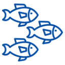 การประมง